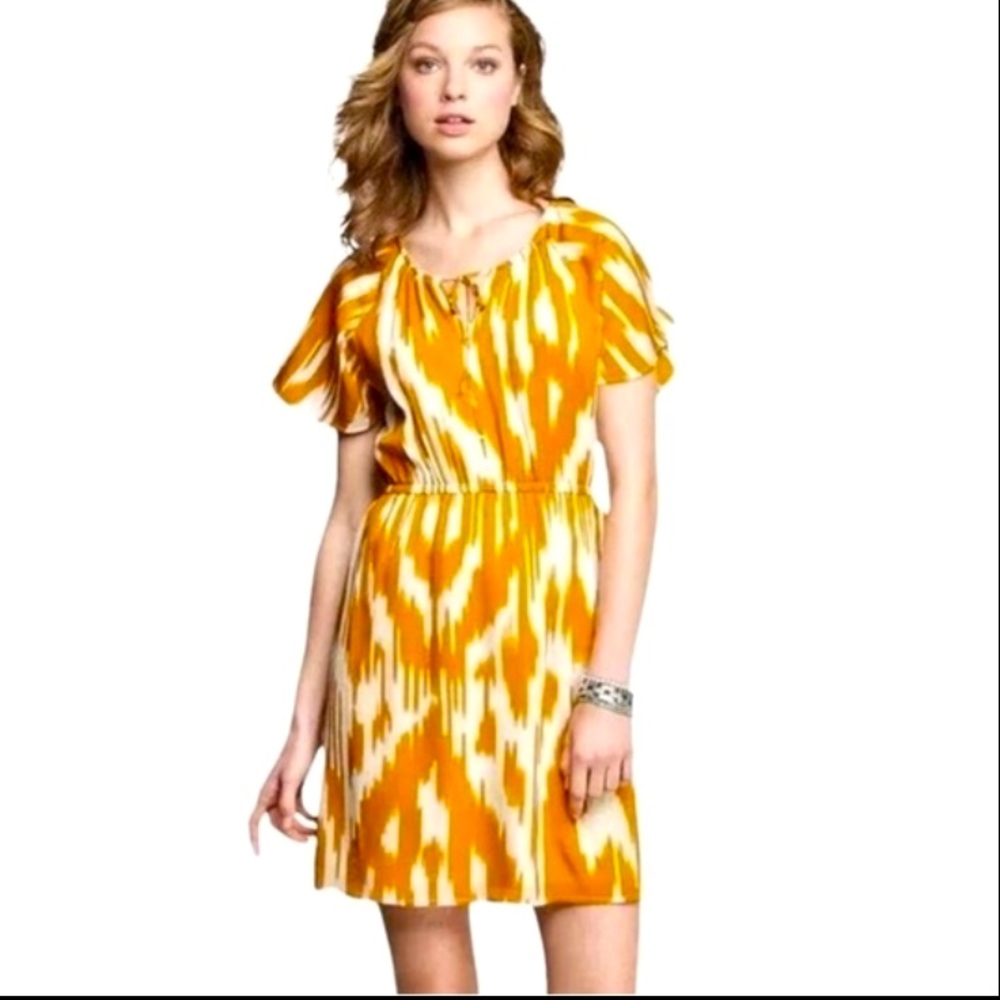J.Crew Ikat Print Silk Dress Size 14 NWT